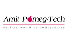 Amit Pomeg Tech (P) Ltd.